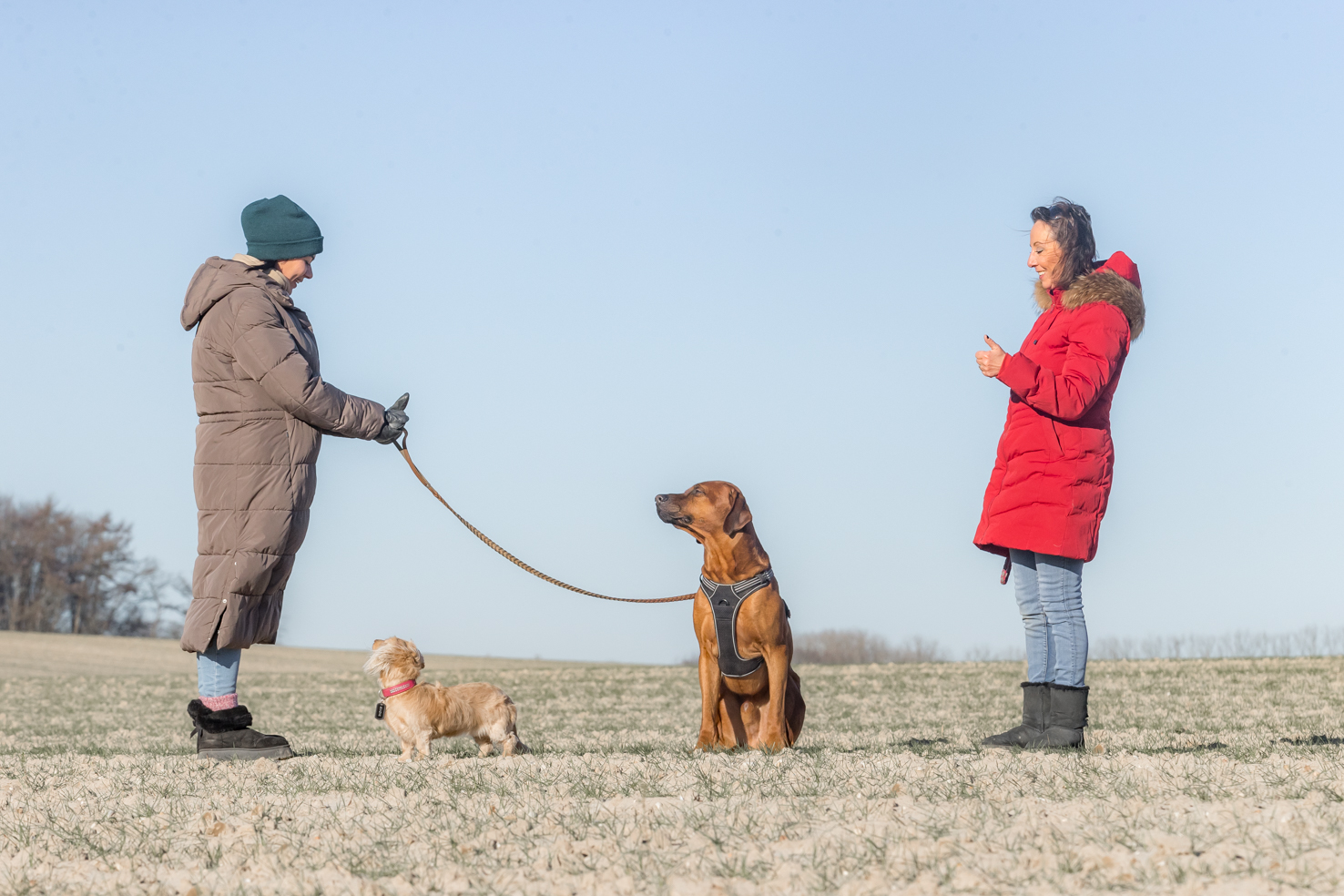 Educatrice donne cours